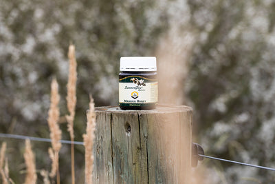 Application for Manuka Honey Trademark Supported by Waikato-Based Manuka Honey Producers SummerGlow Apiaries Ltd.