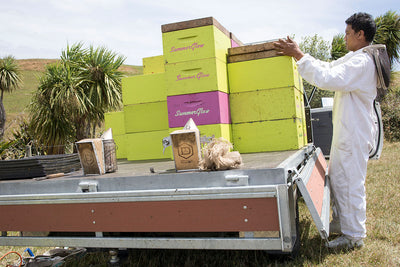 Waikato based SummerGlow Apiaries is excited for the UMFHA’s science showcase in China.
